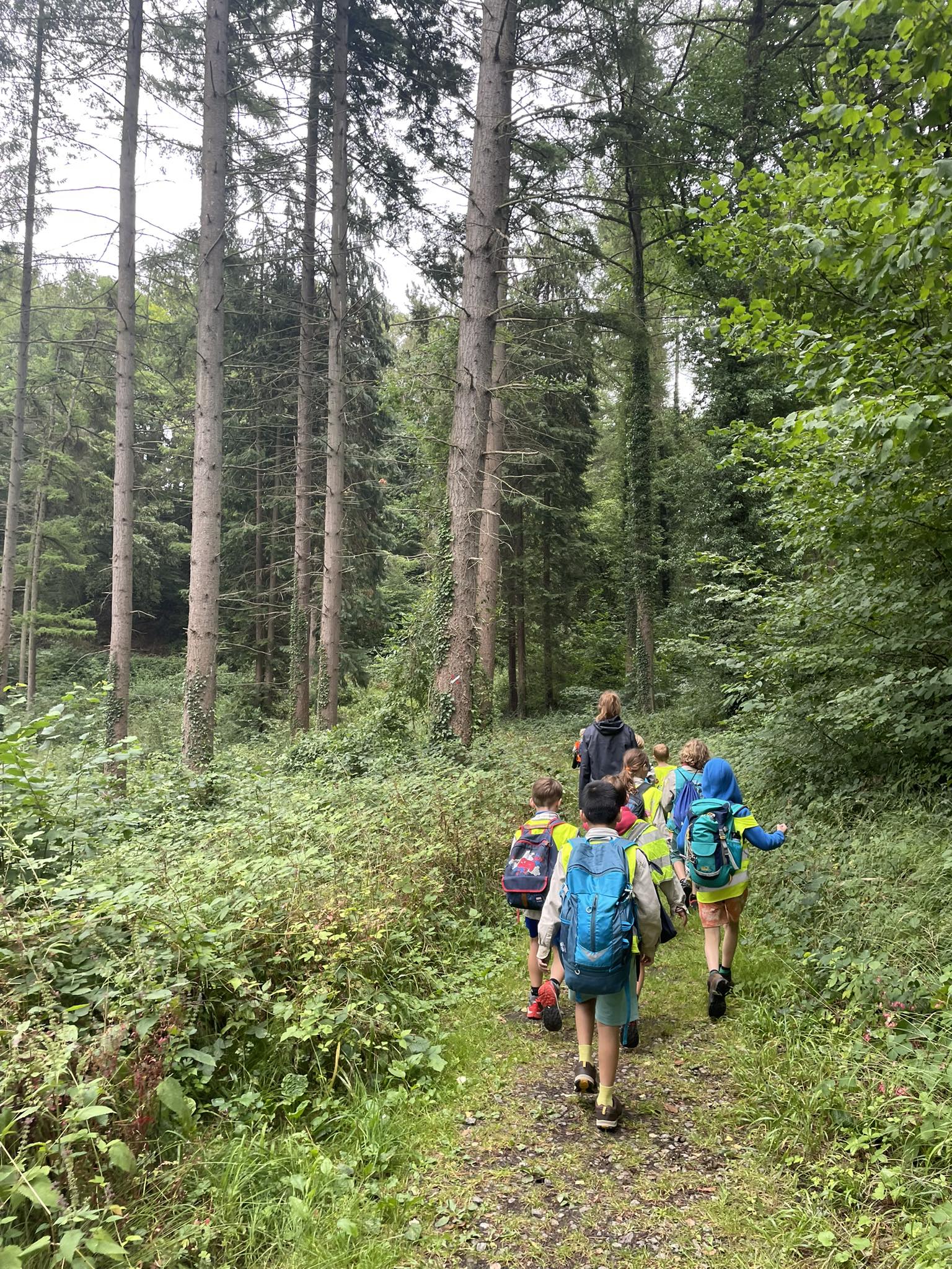 Kamp foto 5